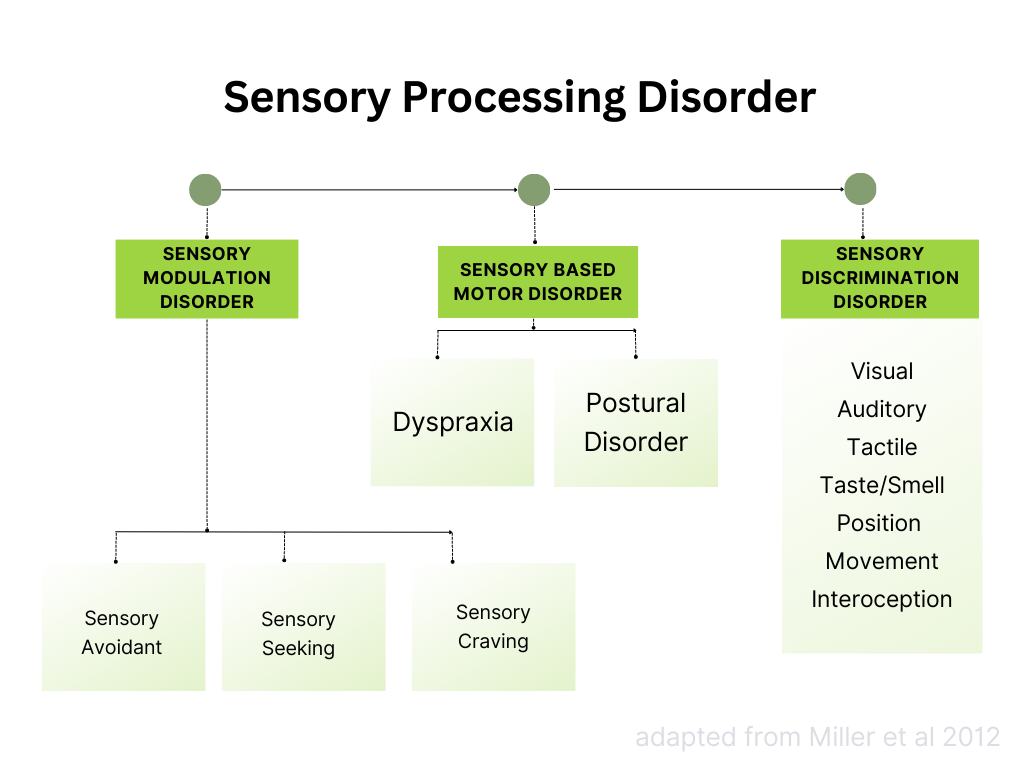 Three subtypes of sensory processing disorder 